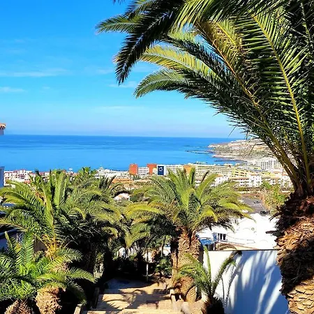 Traumhaus Musgo Costa Adeje (Tenerife)